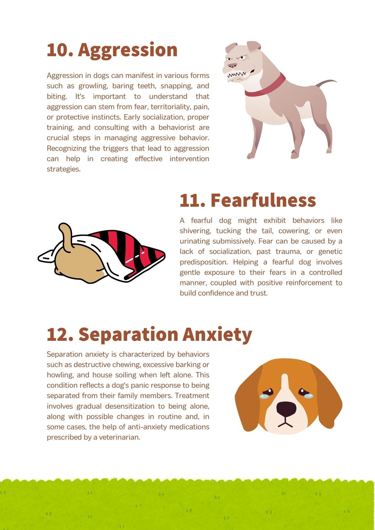 30 Ways to Understand Your Dog