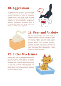 30 Ways to Understand Your Cat