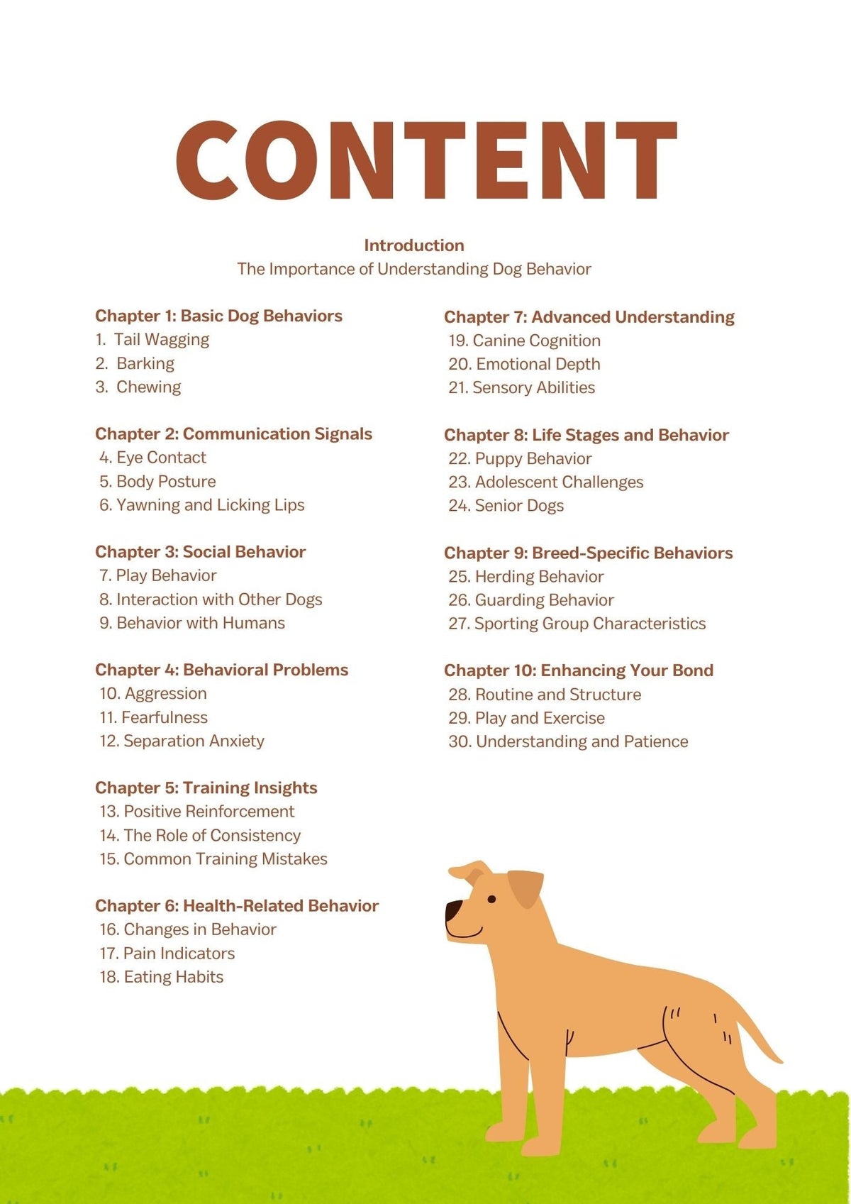 30 Ways to Understand Your Dog