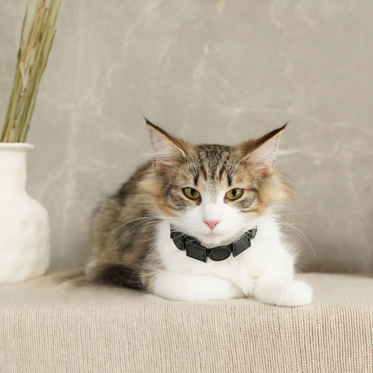 Geometric Leather Pet Collar – Elevate Your Pet's Style with Eco-Friendly Elegance