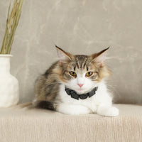 Geometric Leather Pet Collar – Elevate Your Pet's Style with Eco-Friendly Elegance