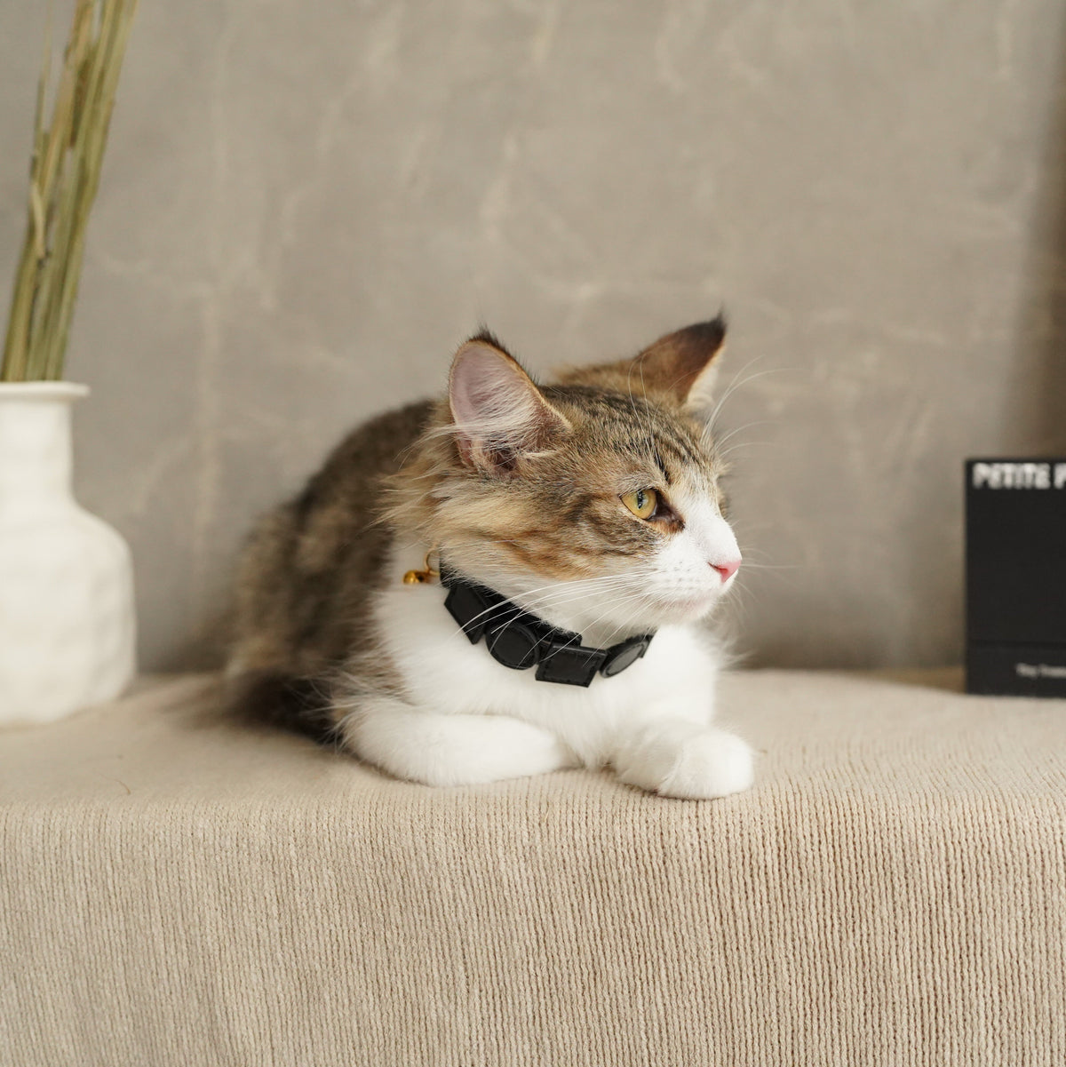 Geometric Leather Pet Collar – Elevate Your Pet's Style with Eco-Friendly Elegance