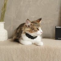 Geometric Leather Pet Collar – Elevate Your Pet's Style with Eco-Friendly Elegance