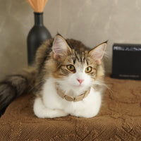 Geometric Leather Pet Collar – Elevate Your Pet's Style with Eco-Friendly Elegance