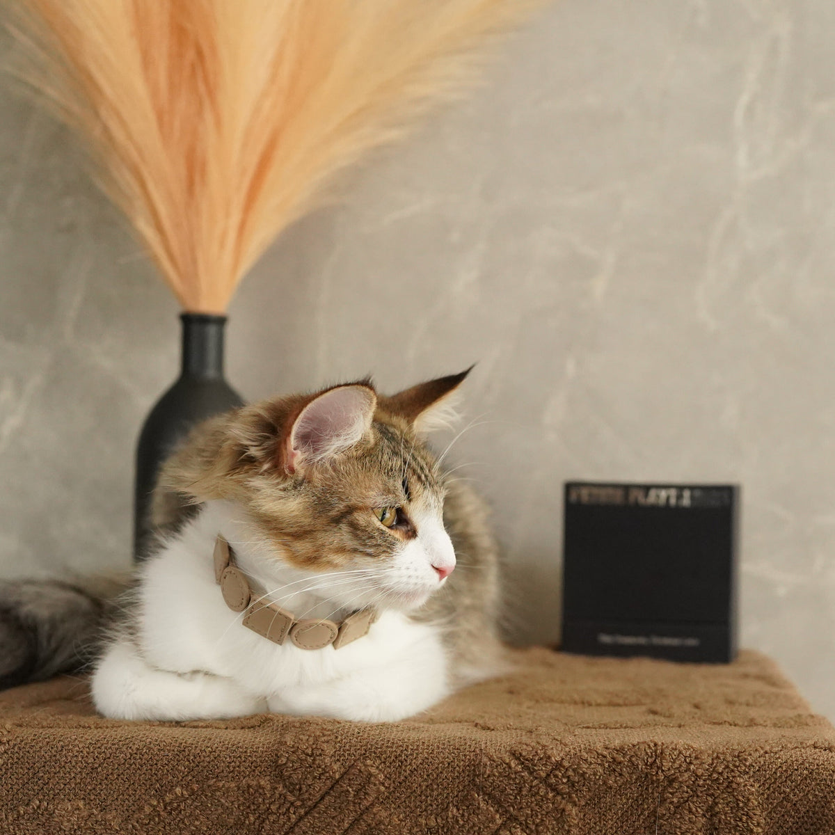 Geometric Leather Pet Collar – Elevate Your Pet's Style with Eco-Friendly Elegance