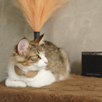 Sustainable Leather Pet Collar – Half Moon, Perfect for Your Beloved Pets