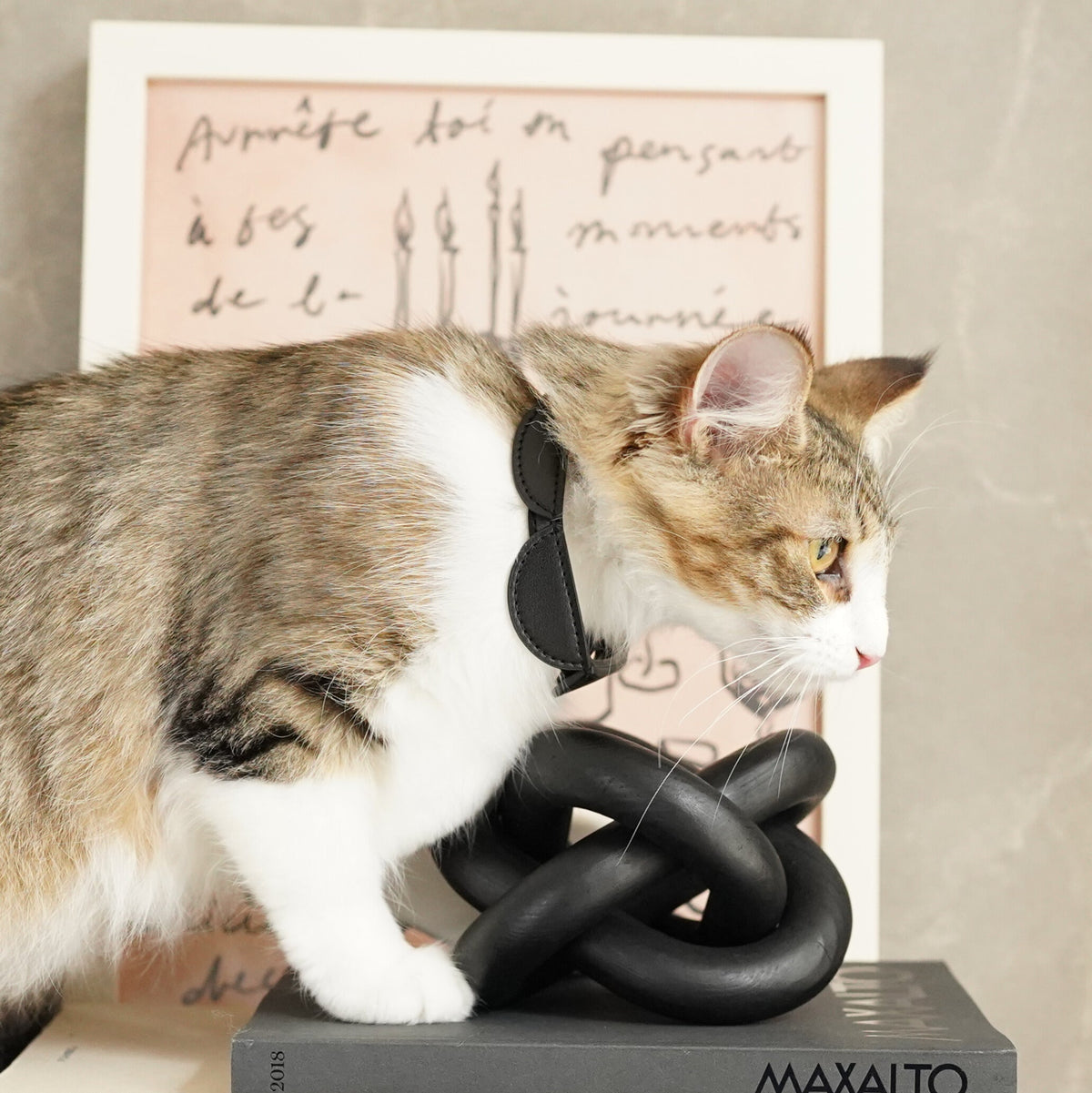 Sustainable Leather Pet Collar – Half Moon, Perfect for Your Beloved Pets