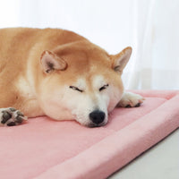 Momomi Pet Mat for Dogs & Cats