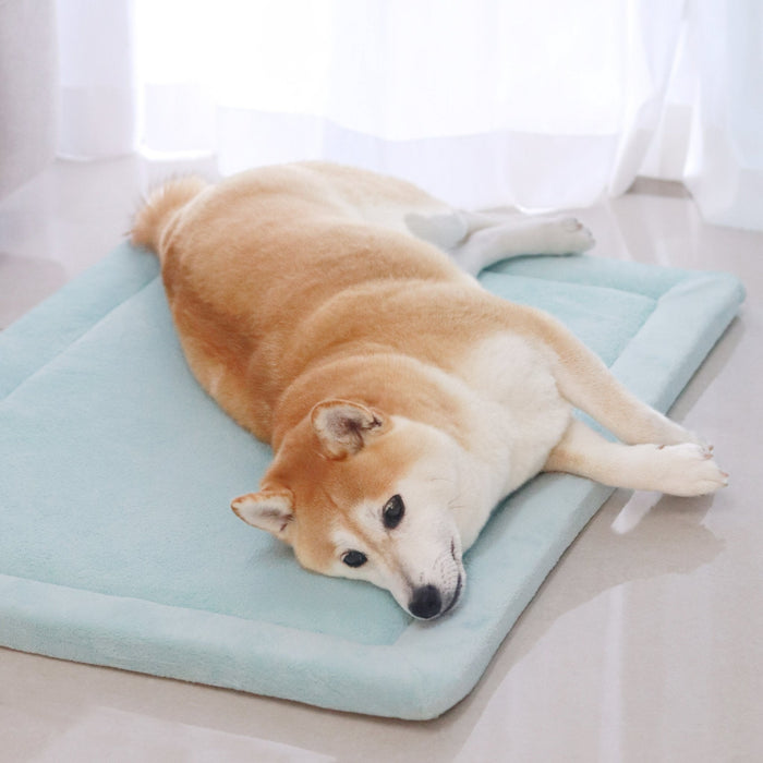 Momomi Pet Mat for Dogs & Cats