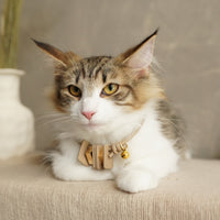 Sustainable Leather Pet Collar - Mod: Stylish, Eco-Friendly Accessory for Your Furry Friend