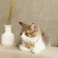 Sustainable Leather Pet Collar - Mod: Stylish, Eco-Friendly Accessory for Your Furry Friend