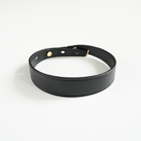 Sustainable Leather Pet Collar – A Stylish Choice for Conscious Pet Owners