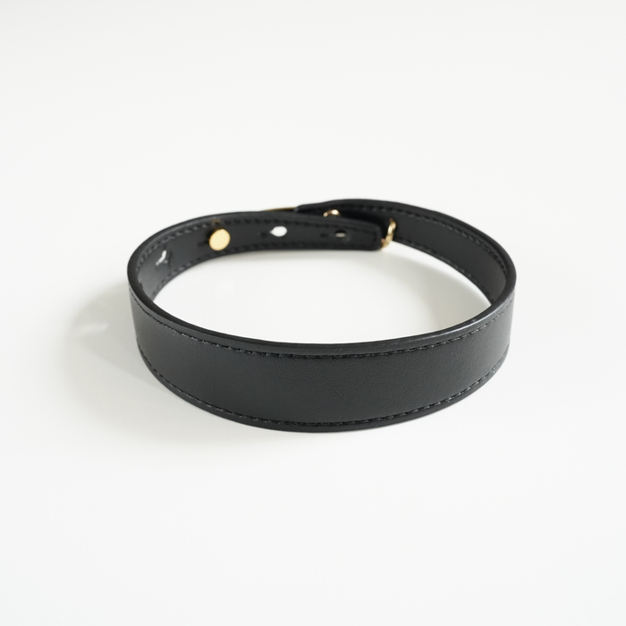 Sustainable Leather Pet Collar – A Stylish Choice for Conscious Pet Owners