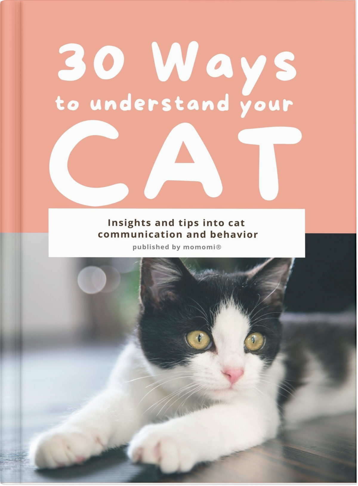 30 Ways to Understand Your Cat