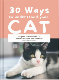 30 Ways to Understand Your Cat