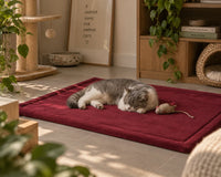 Momomi Pet Mat for Dogs & Cats