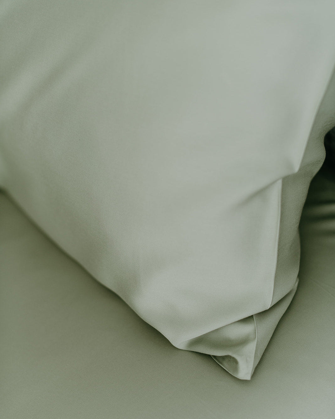Bamboo Adult Pillowcase Set