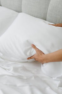 Bamboo Adult Pillowcase Set