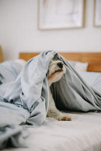 Eco-Friendly Bamboo Dog Bed Cover for Ultimate Comfort
