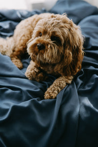Eco-Friendly Bamboo Dog Bed Cover for Ultimate Comfort
