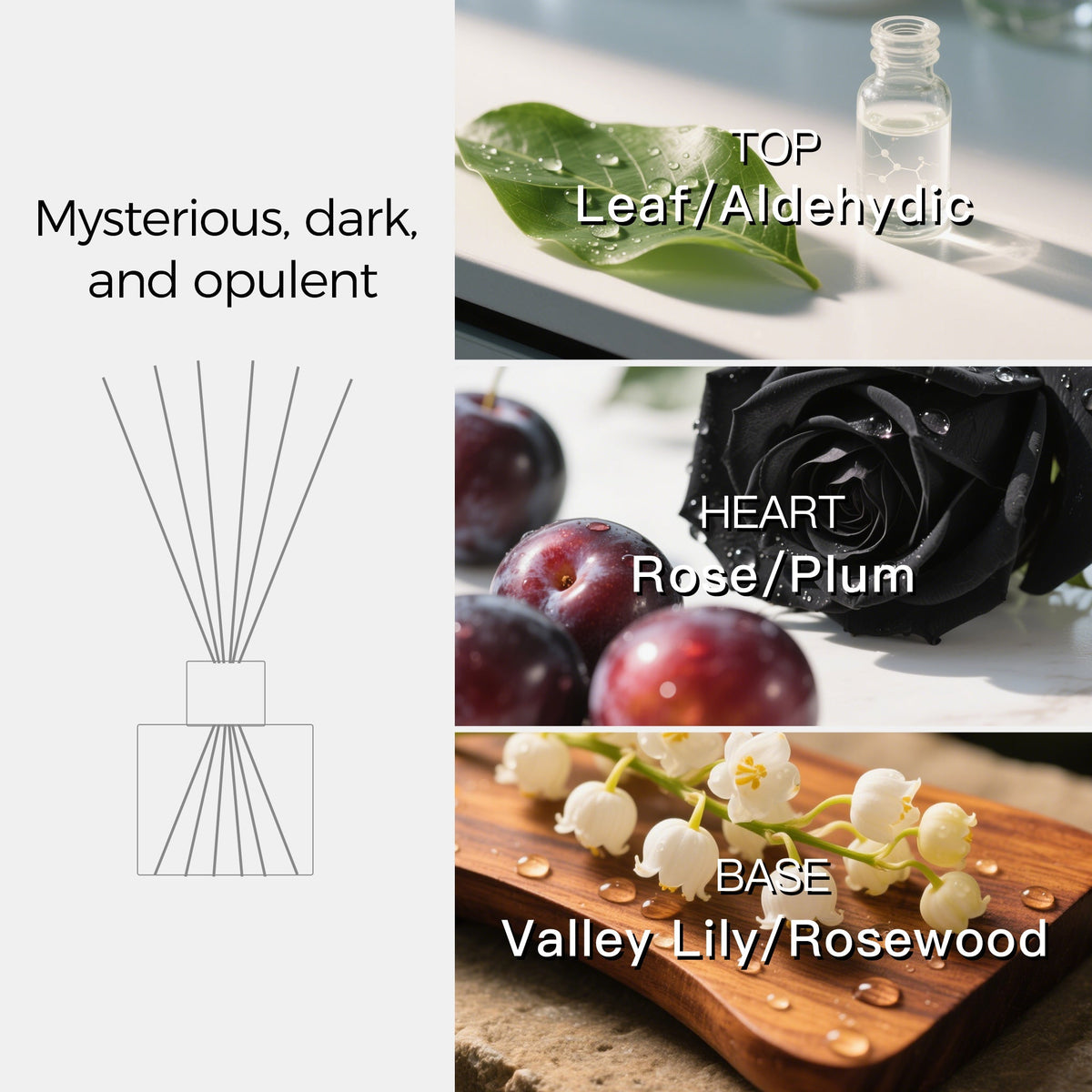 Black Rose Scented Reed Diffuser
